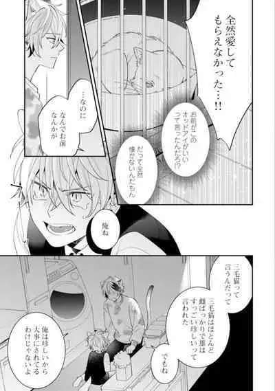 High Spec Danshi ni Natsukareteimasu