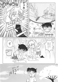 (C68) [studio empty (Nishi)] Aru ai no uta (Detective Conan)