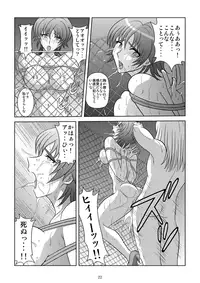[Akiyama Production (Kurauda Shouta)] Binyuu Kari 2 (Witchblade) [Digital]