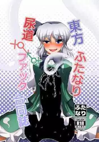 (Reitaisai 8) [RUMP (Bon)] Akai Rekishi ni Ao no Spice San (Touhou Project)