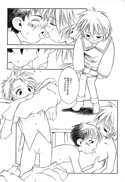 CHERO Memo Gaiden Nijiiro no CHEROKEE