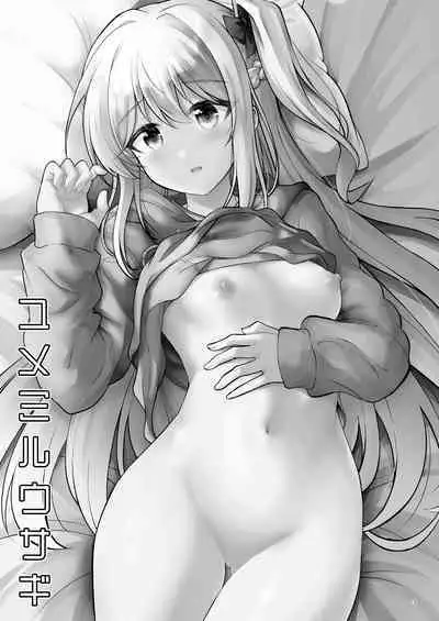 Yumemiru Usagi | 如入梦境的兔子