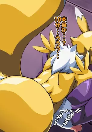 Renamon's Next Order