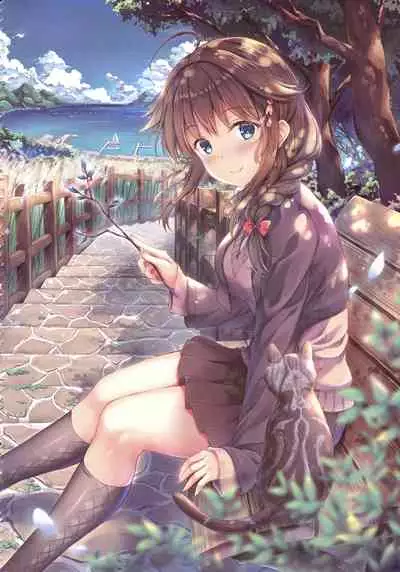 Konya no Kihi Sakusen