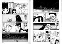 [Mii Akira] Lunatic Night 3