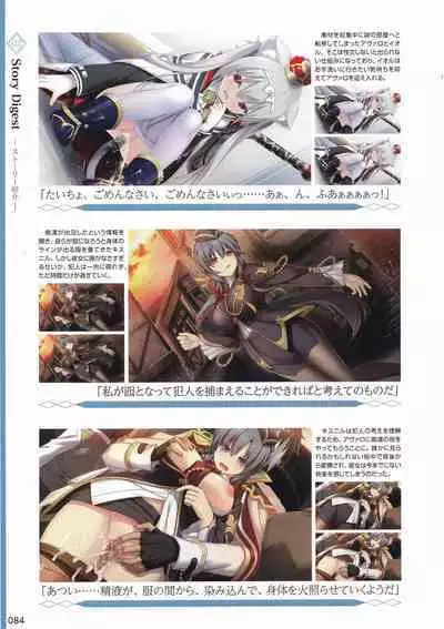 Amayui Labyrinth Meister Perfect Guidebook