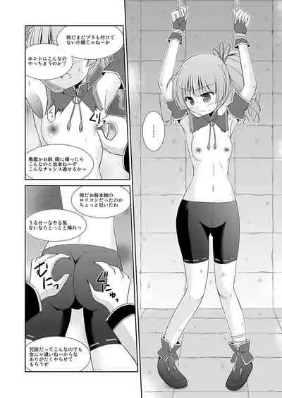 Koyuzu no Chousa Shippai Houkokusho