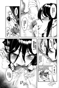(C93) [zero-sen (xxzero)] Inu no Kimochi Ii vol. 2 [Chinese] [沒有漢化]