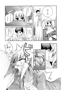 COMIC RiN 2010-11