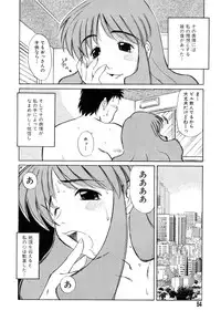 Flamingo R Vol.04