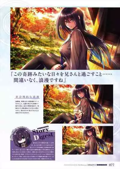 Amakano 2 Visual Fan Book