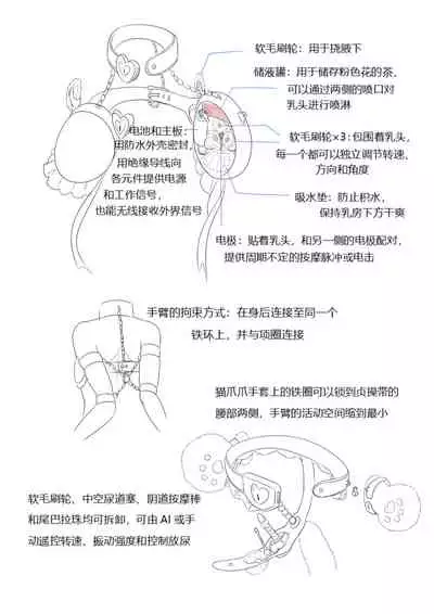 占星術師