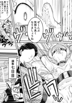 Kachou Seidorei Choukyou II