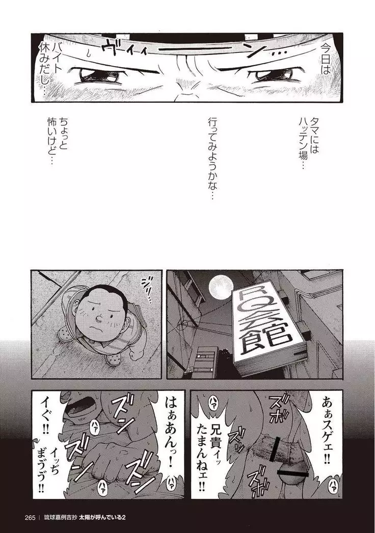 Taiyou ga Yonde Iru 2