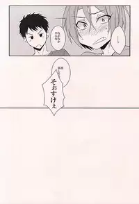 (C88) [Guruguruzousan (Yue)] Akarui Omanjuu Keikaku (Free!)