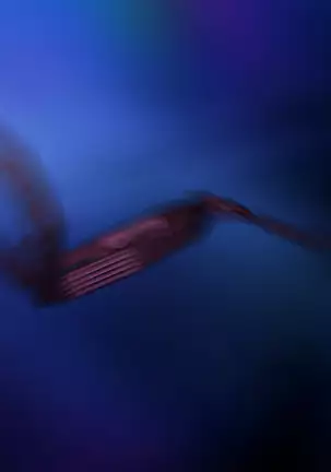 Slow Damage All CGs