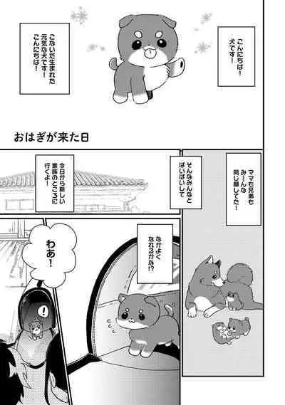 Hatsukoi Escape