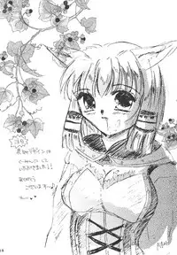 (C69) [Mifuyu (Mitaka Rima, Karin)] Melon pie+1 (Final Fantasy XI)
