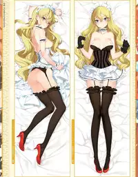 Eiyuu＊Senki GOLD Visual Fanbook