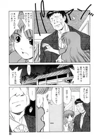 Flamingo R Vol.04