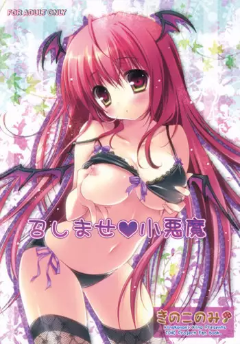 (Reitaisai 10) [KINOKONOMI (Kino)] Koakuma Flan No Gohoushi Shichau zo (Touhou Project)
