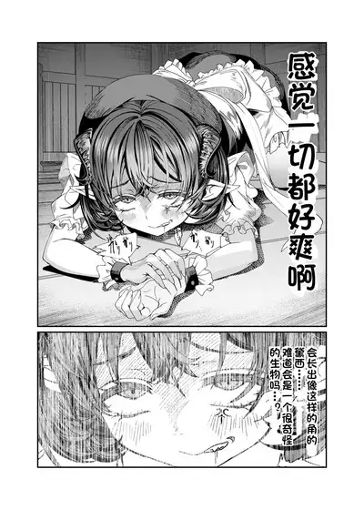 Dorei o chokyo shite haremu tsukuru