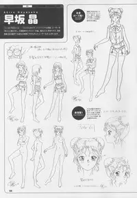 Super Real Mahjong Visual Fan Book Perfect Collection