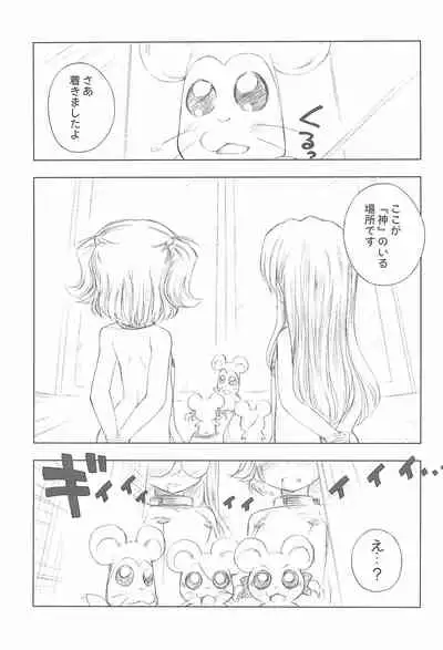 BATTLE FOR THE PLANET OF THE HAMS