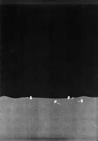 [Machida Hiraku] Tanpopo no Matsuri