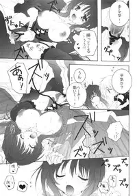 (C80) [Pyonpyororin (Akoko.)] partner (Seikon no Qwaser)