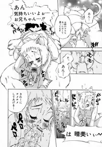 [Shark Yaminabe] In-nyu 100%