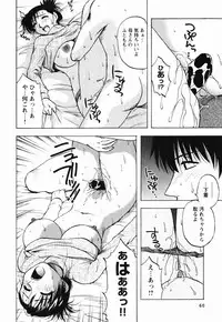 [Maeda Sengoku] Mrs. Link
