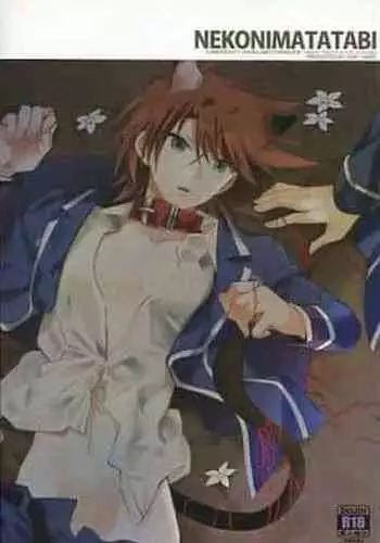 (HaruCC19) [4DIP (Tarte)] Chokochoko Osake (Cardfight!! Vanguard)