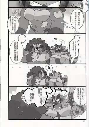 WILD BEAT!!