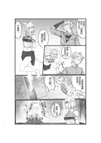 猫娘的日常生活