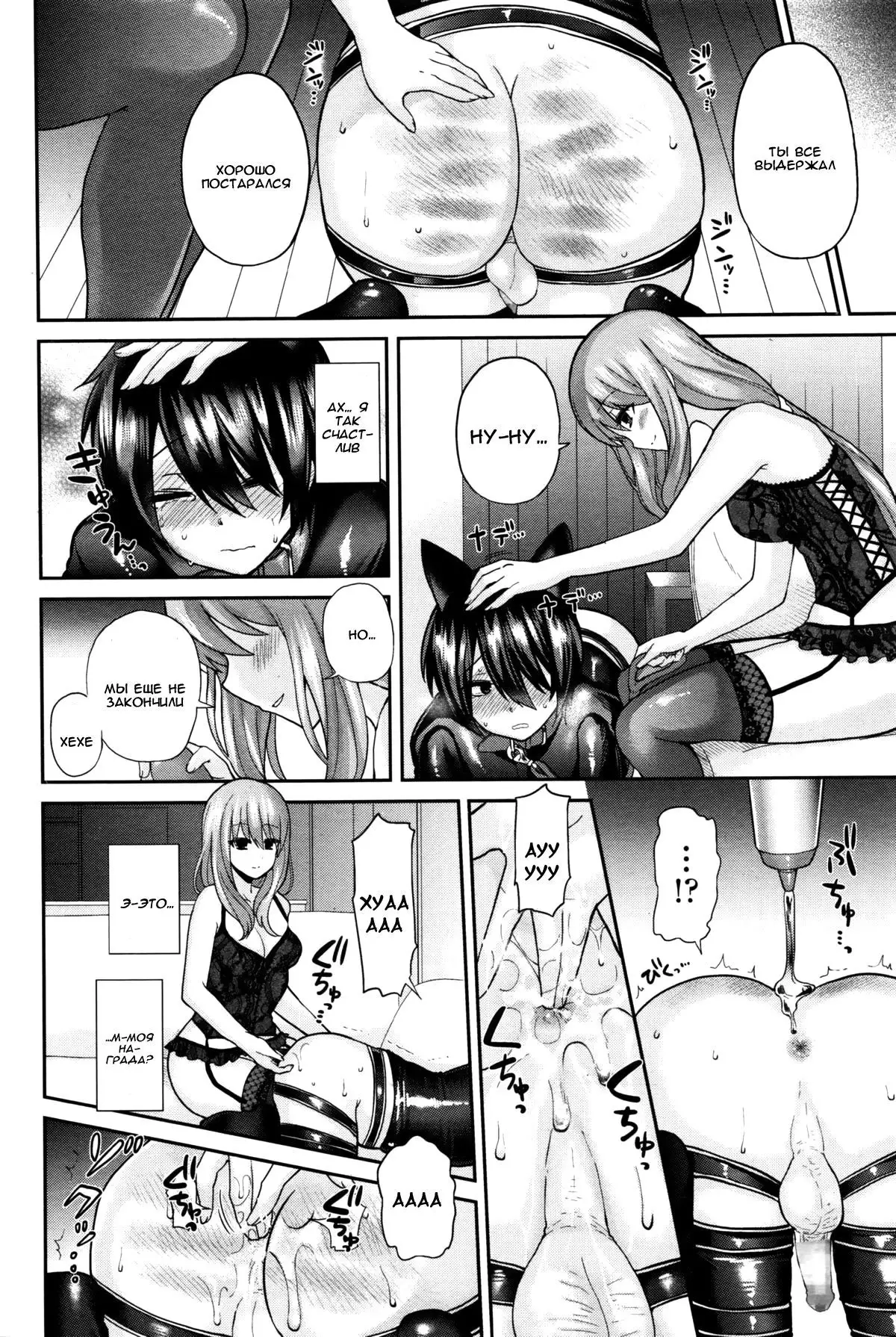 Domestic Dog | Домашняя Собаука