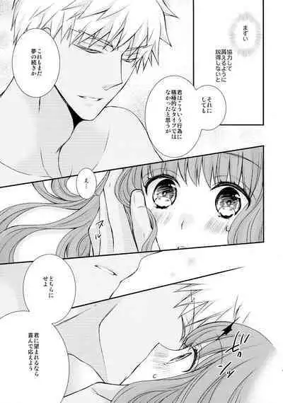 Itsuka no Mirai to Kako no Yume