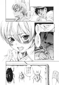 [Eromangaman] Kuwagata - The Stag Beetle
