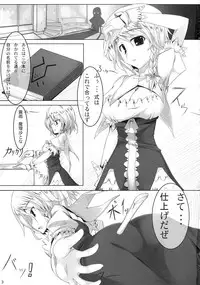(C76) [barista (Kirise Mitsuru)] Schrodinger (Touhou Project)