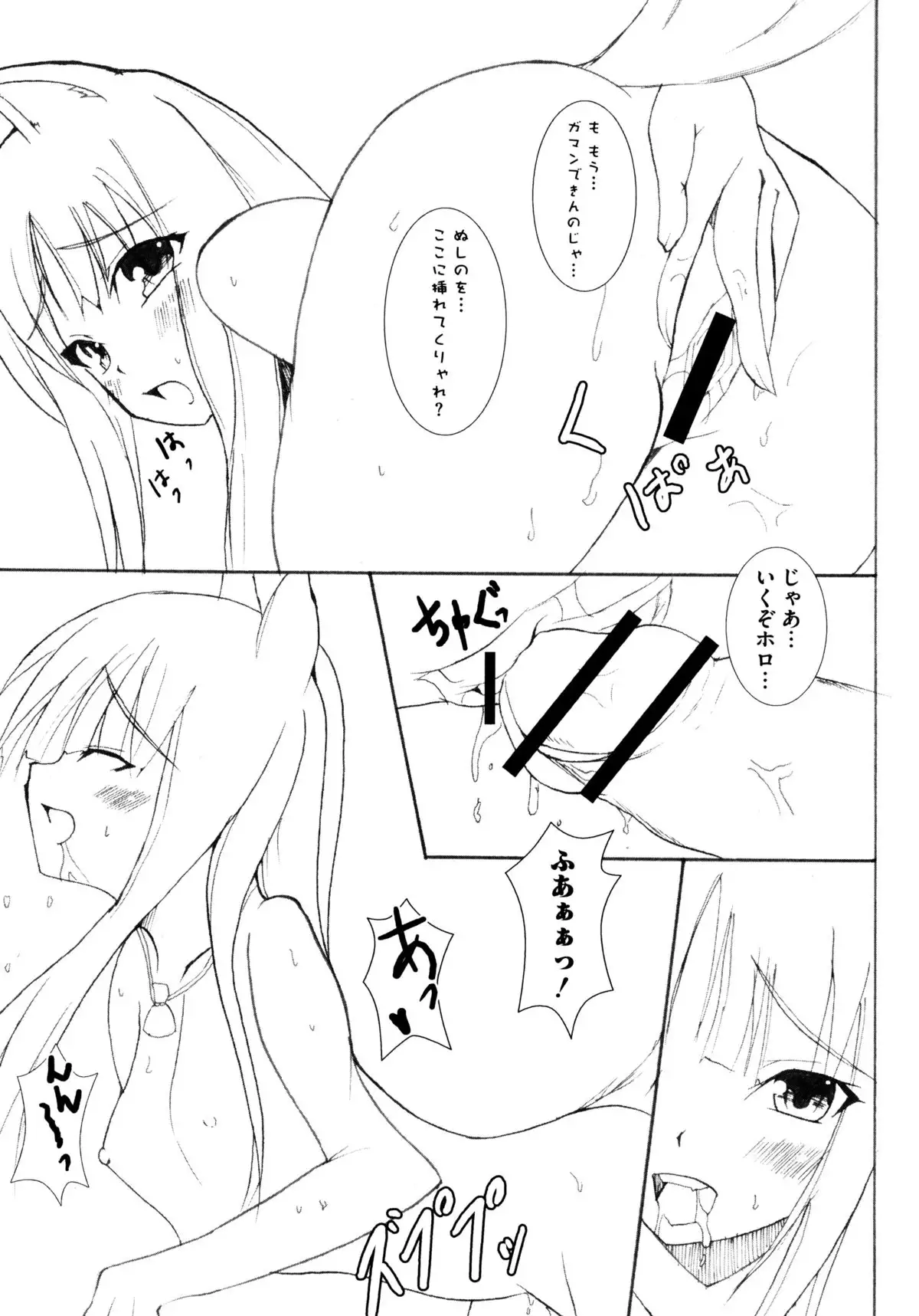 Ookami Musume to Inkou no Tabi