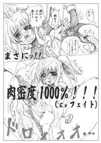 [Se Bone (Sakibashiri Jiru)] Gekkan Fate. GX (Mahou Shoujo Lyrical Nanoha)