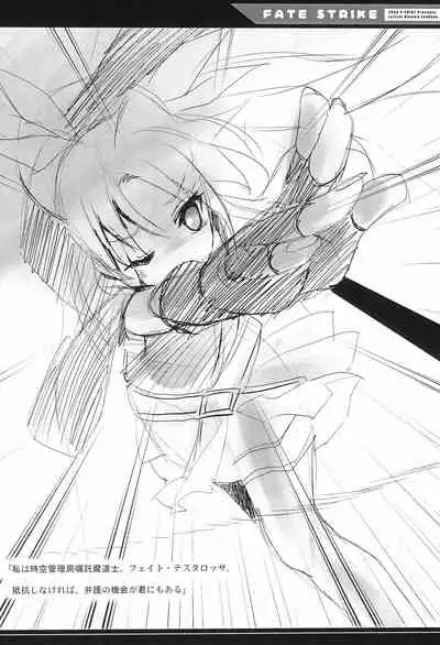 FATE STRIKE