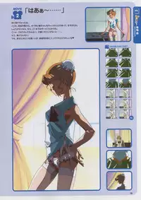 Super Real Mahjong Visual Fan Book Perfect Collection