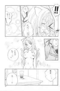 (C57) [Team Plus-Y] Plus-Y 25 Kemomi mitsu kusu