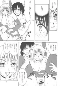 (C70) [Hanamaru Mugen Gym (Hyoujun Mai)] Sakura Chiru (Dead or Alive)