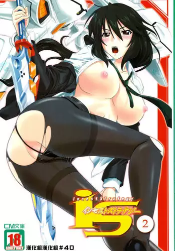 (C81) [CROSS-DO (Masakichi)] 1+1+1=∞ (Infinite Stratos)