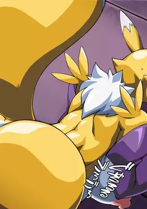 Renamon's Next Order