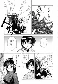 [Anthology] Pure Petit Vol.19