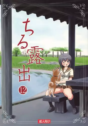 (C91) [Chimee House (Takapi)] Chiru Roshutsu 12