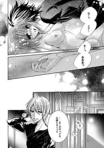 鬼畜兄弟の悶絶調教～私はいいなり奴隷～